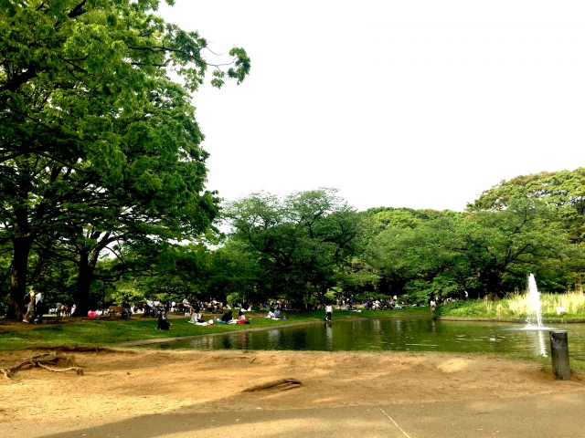 代代木公園：在東京享受美麗的自然景觀！
