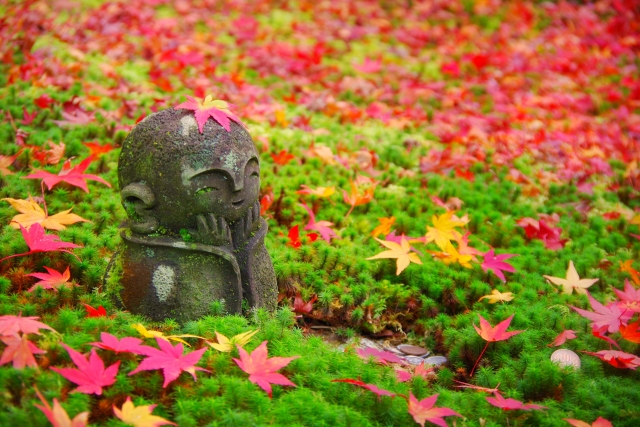 日本的秋季：2024年10大最佳活動