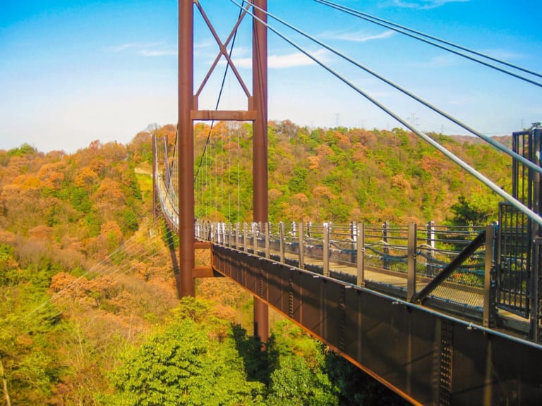 星田公園：大阪最佳秋葉觀賞秘境