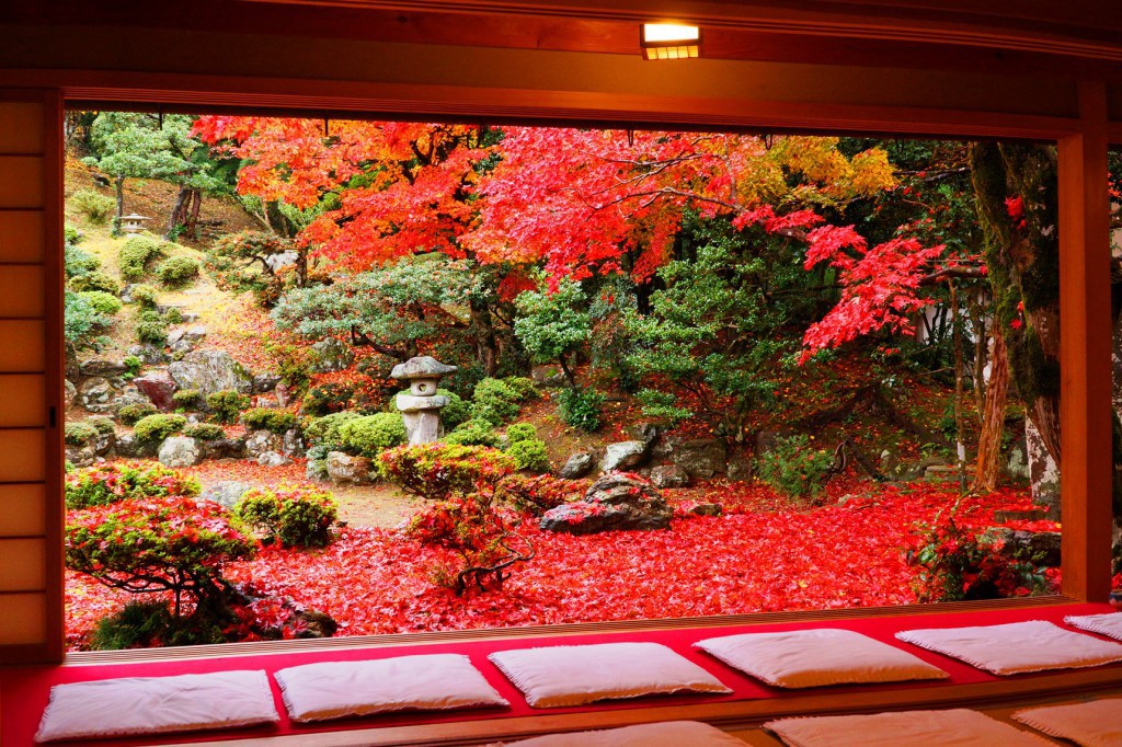 清瀧寺德源院：日本隱藏的秋葉觀賞地點