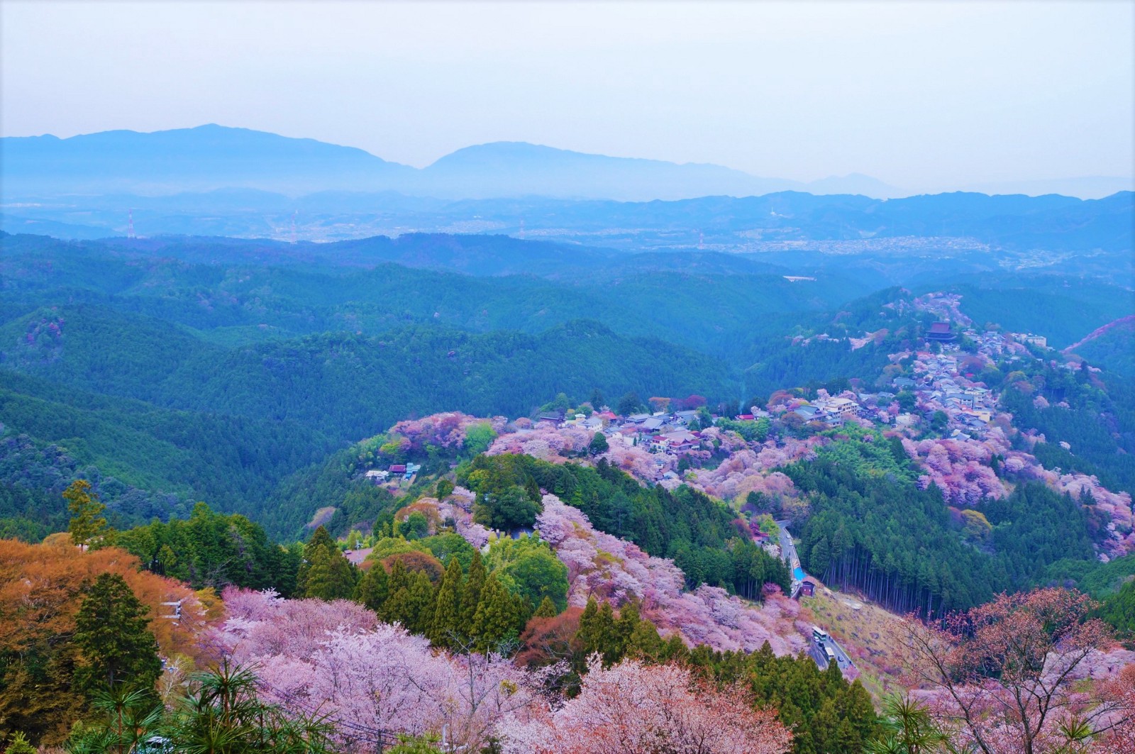 日本2024年春季十大最佳旅遊地點