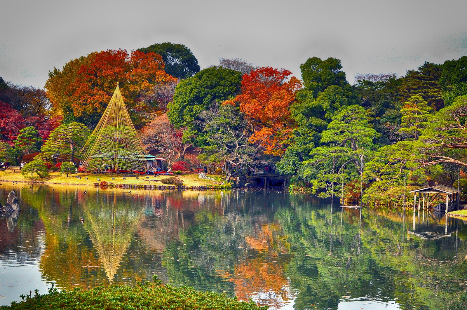Most Beautiful Japanese Gardens in Tokyo