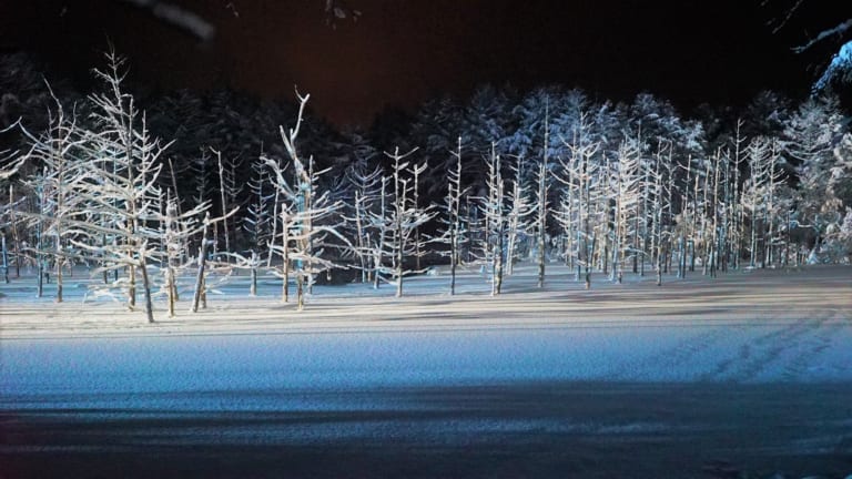 日本2023-2024冬季十大最佳旅遊地點