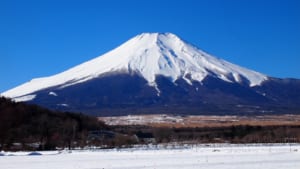 從東京出發的冬季一日遊：五個東京附近最佳的遊覽地點