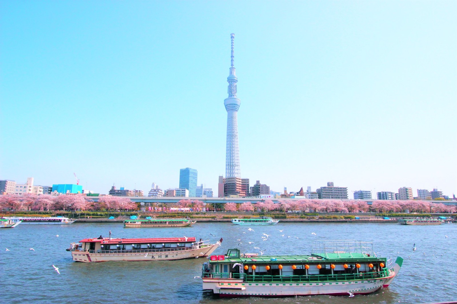 三月的東京：最佳活動和觀光景點