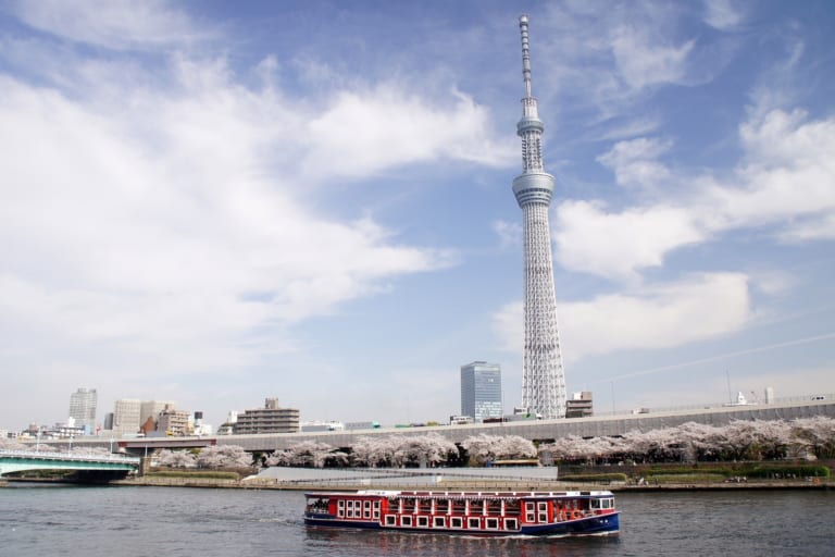 隅田公園櫻花