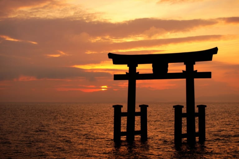 白鬚神社：隱藏的浮游鳥居