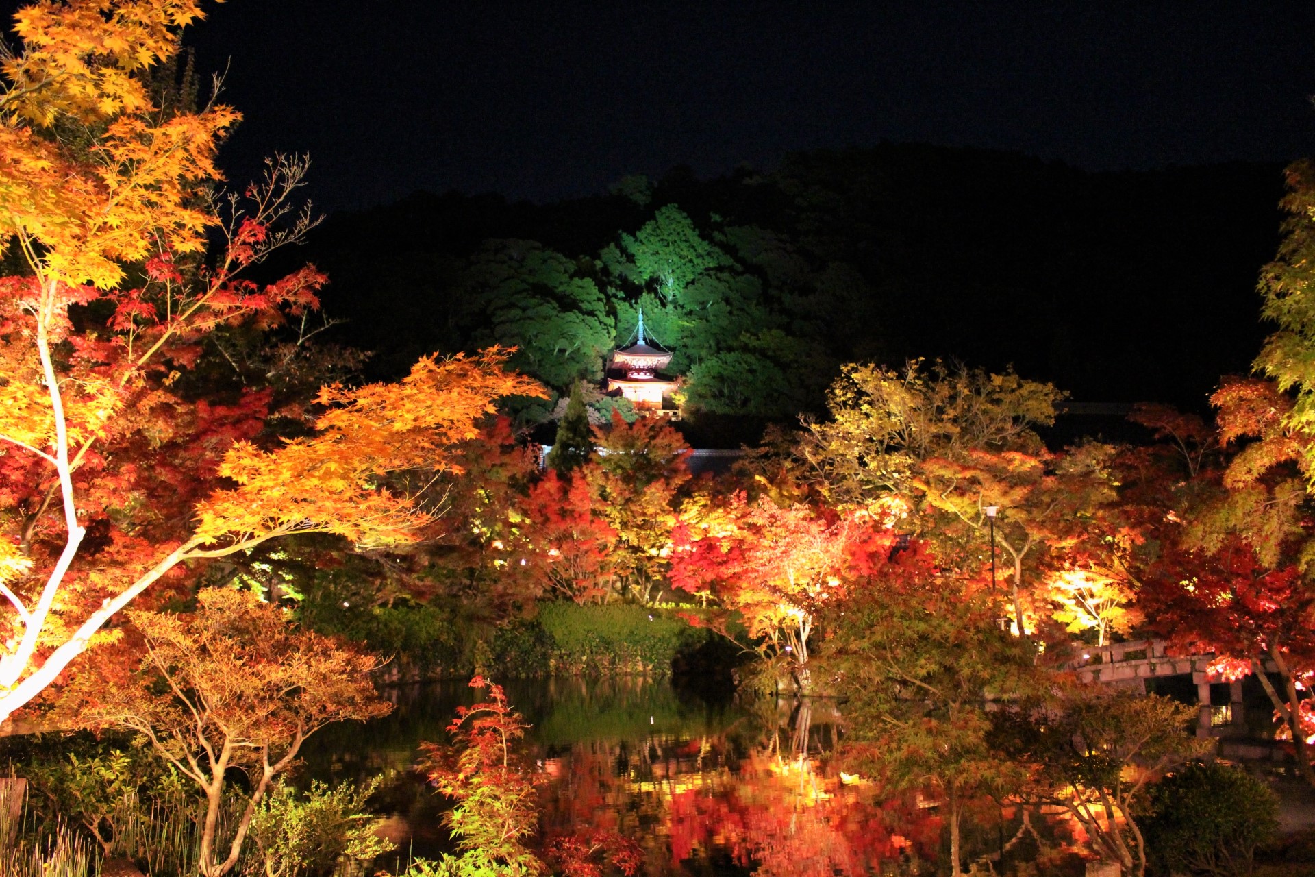 永観堂禪林寺：京都最佳秋葉燈光秀