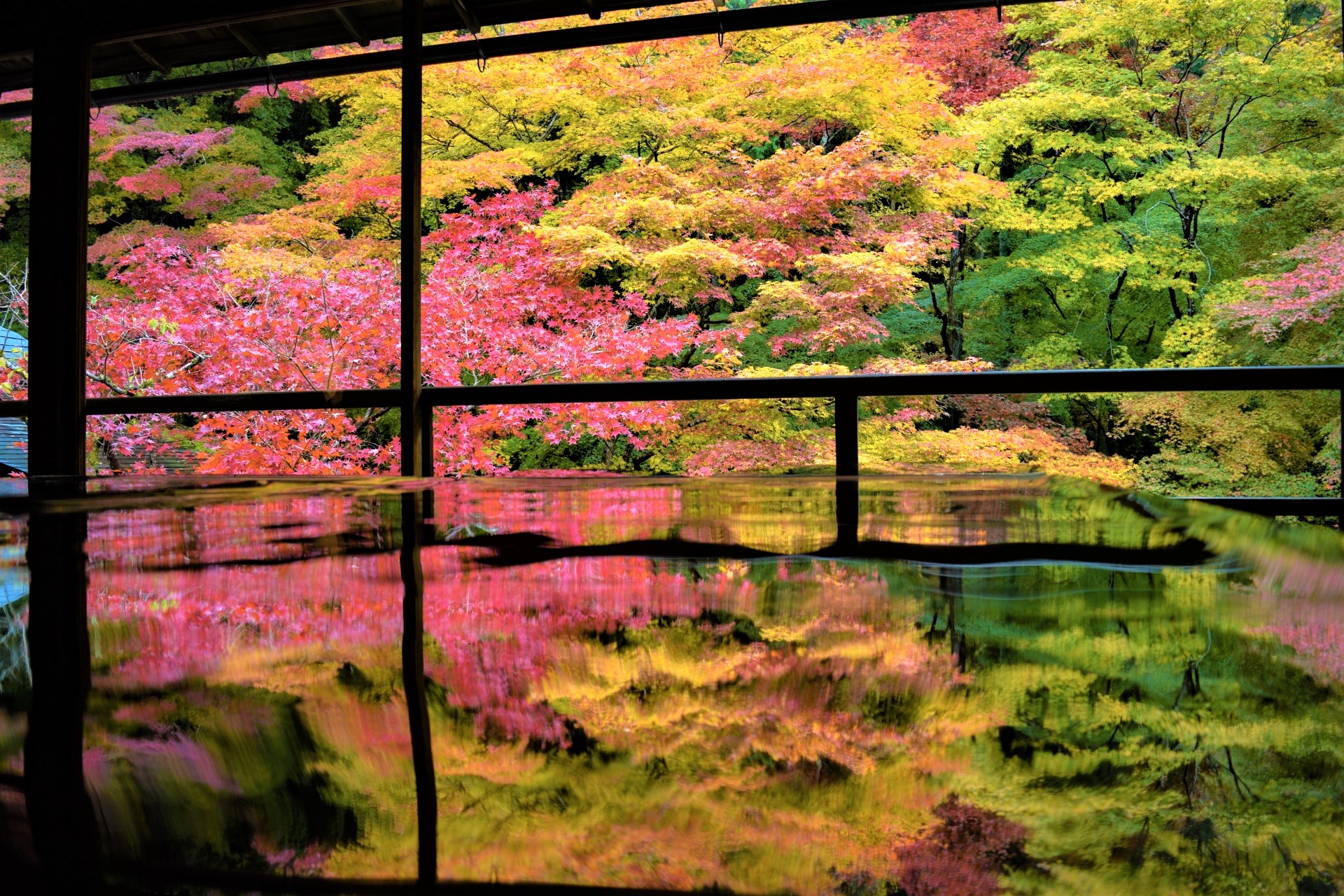 瑠璃光院：攝影者的楓葉美景寺廟