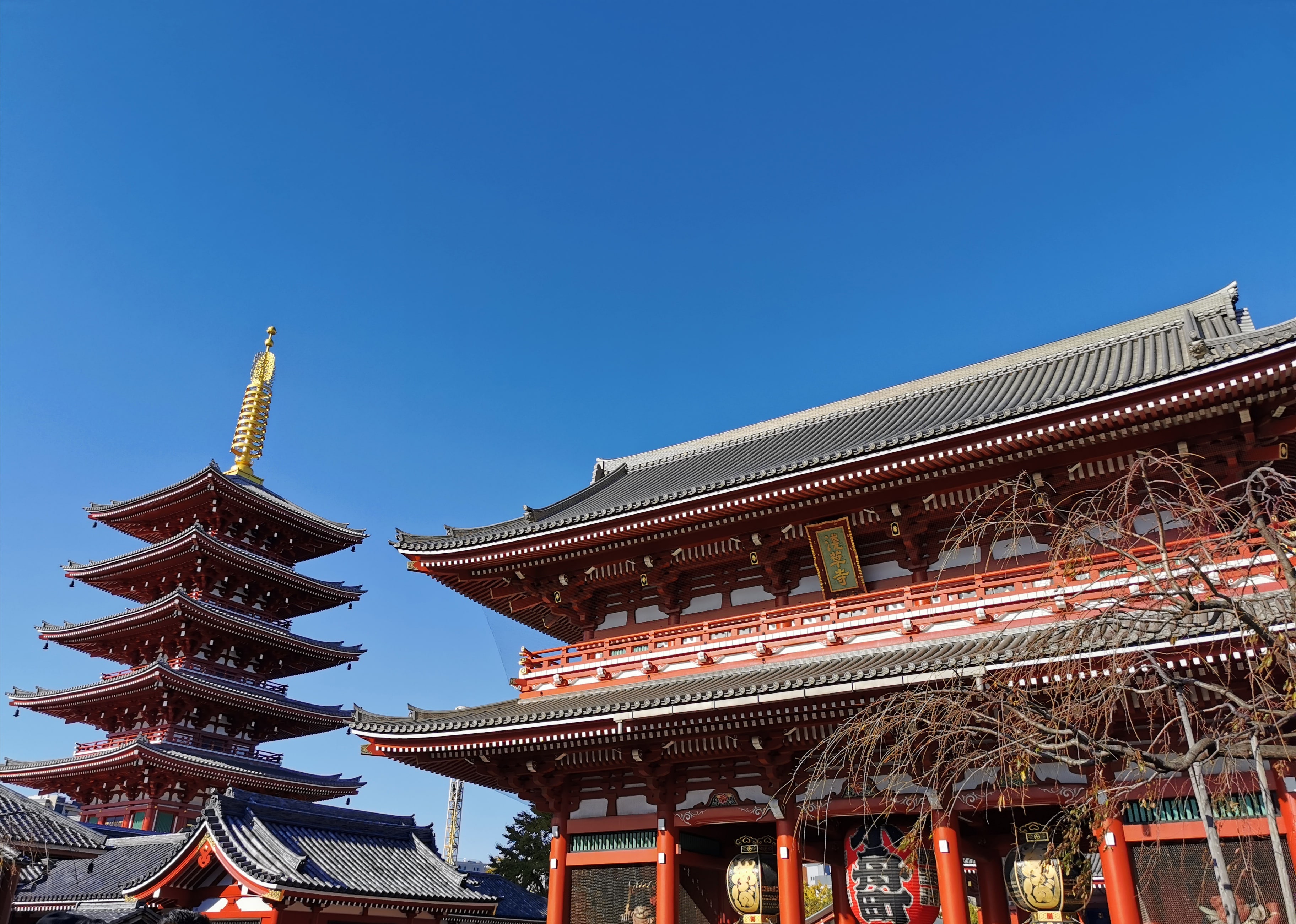 Sensoji Temple view