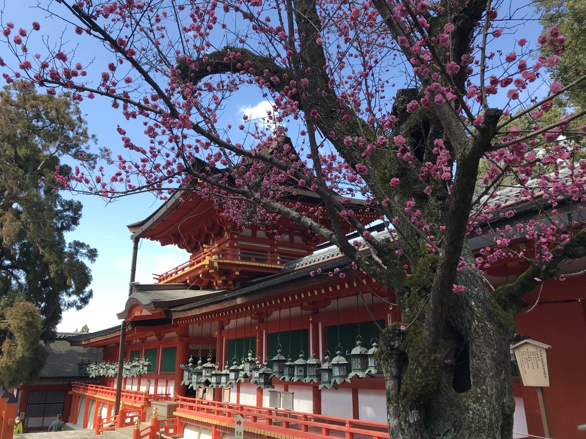 春日大社：奈良的世界遺產神道教神社