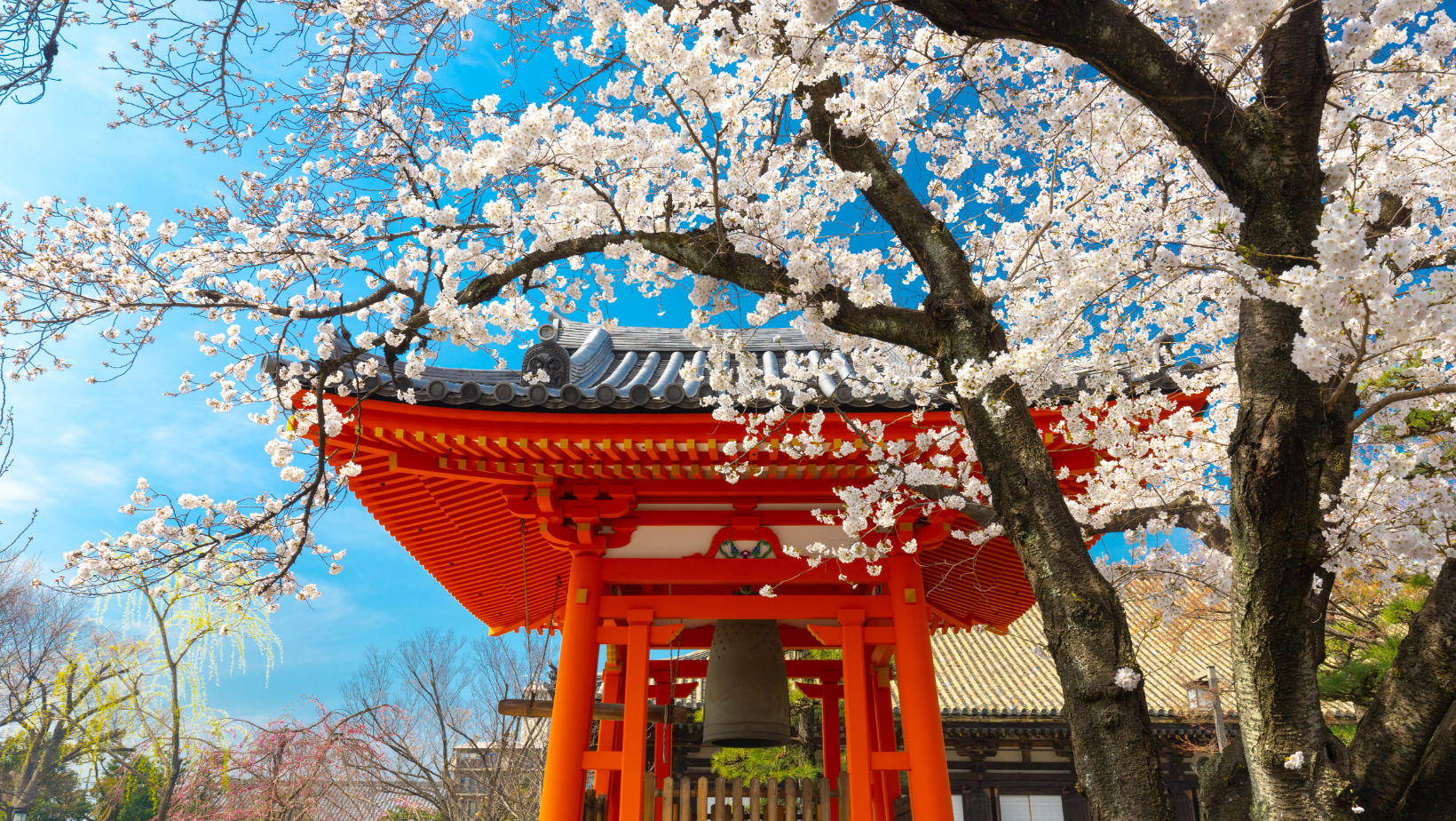 理解日本的文化：日本生活的居民指南