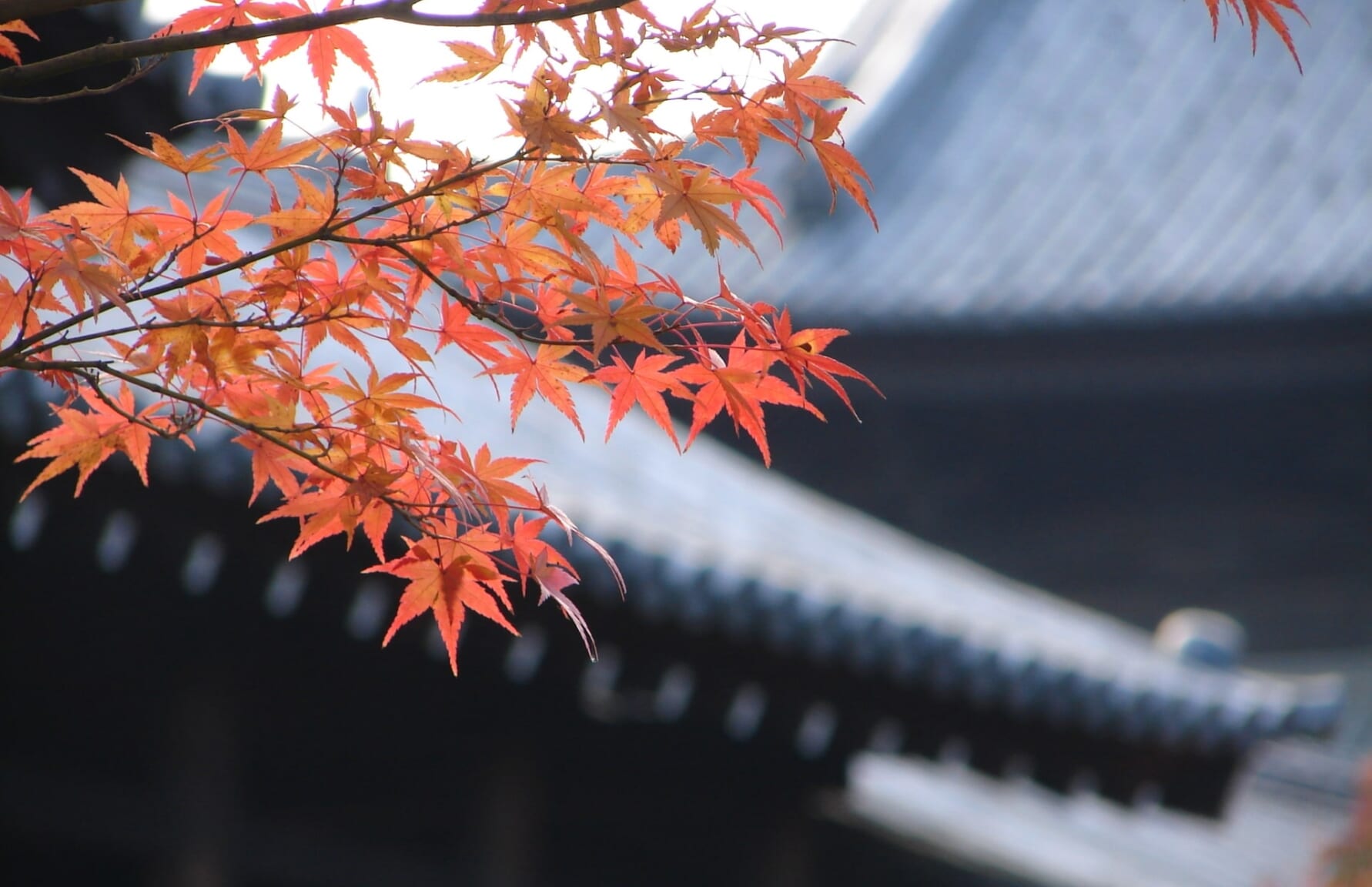 東福寺