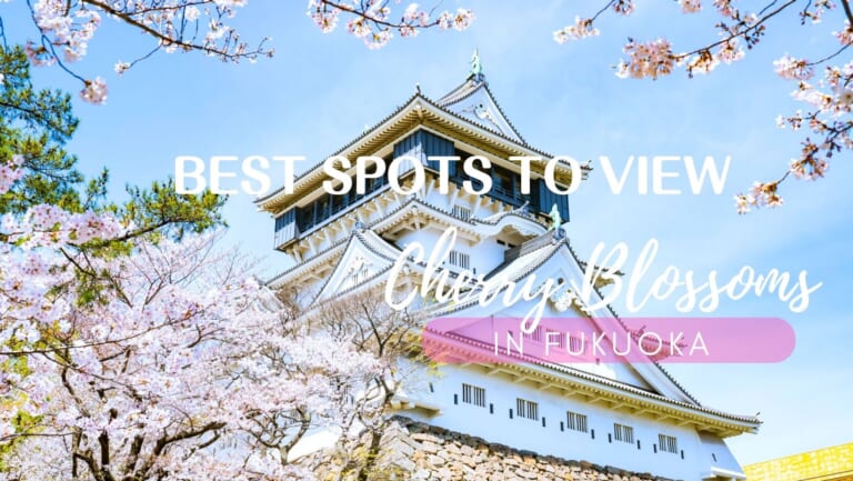 福岡賞櫻10大最佳地點