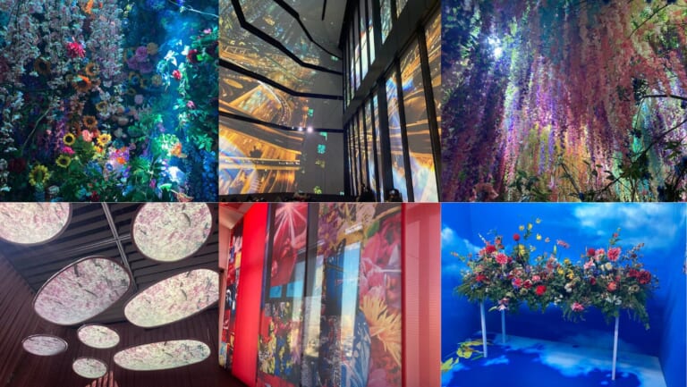 蜷川實花展：「瞬間中的永恆」 虎之門之丘展覽圖文遊記