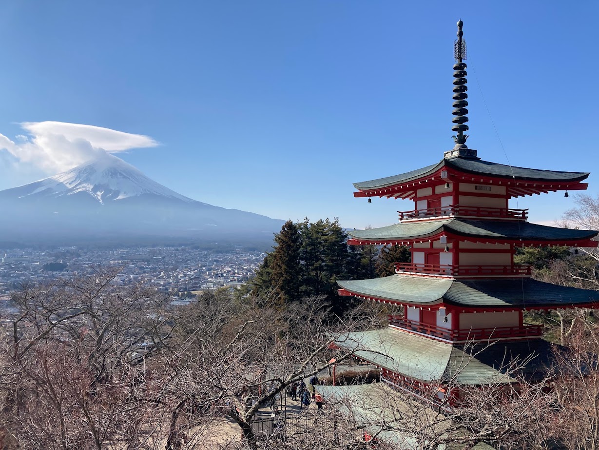 富士山下的絕美一日：從新倉山淺間公園到西湖療癒之鄉巴士旅行圖文分享