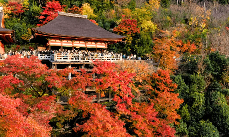 京都秋天