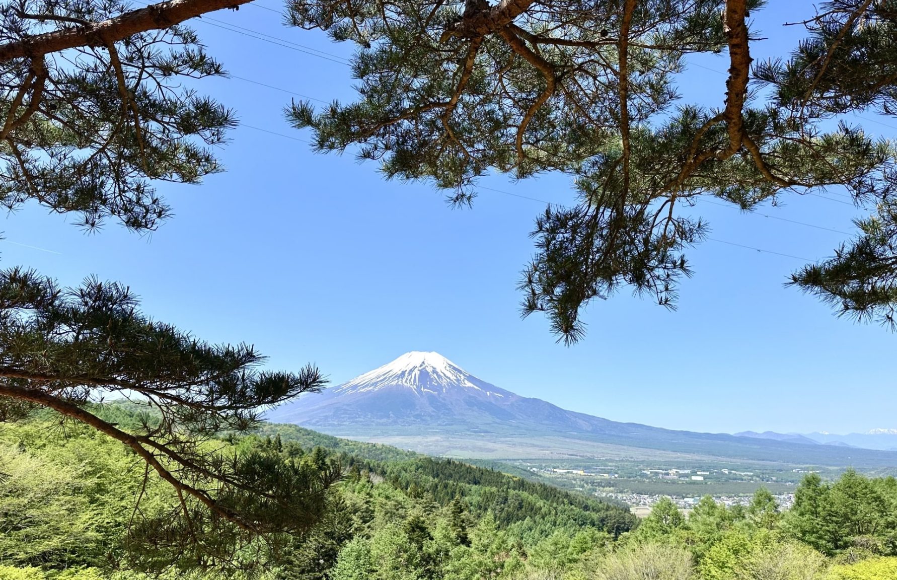 富士山