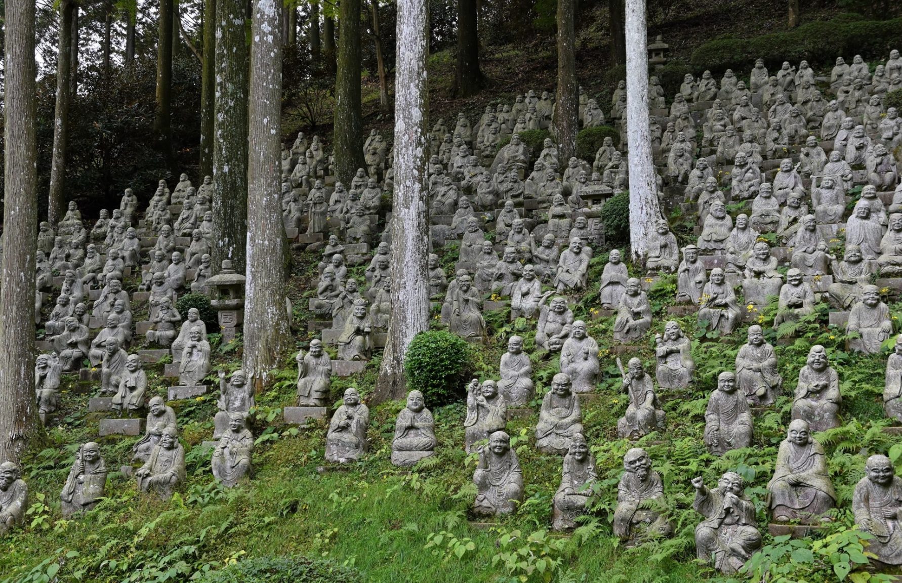 雷山千如寺大悲王院楓葉