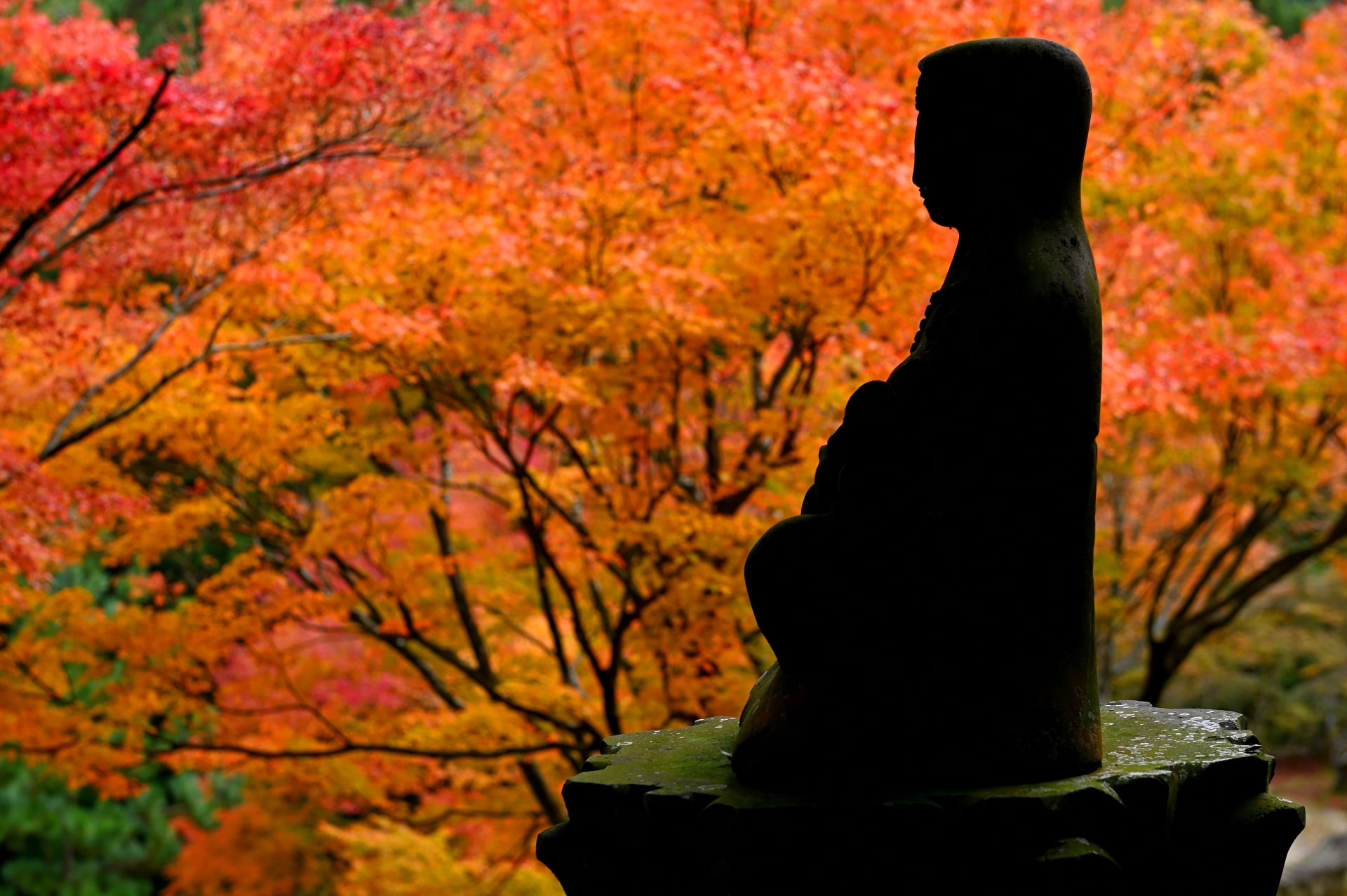 雷山千如寺大悲王院楓葉