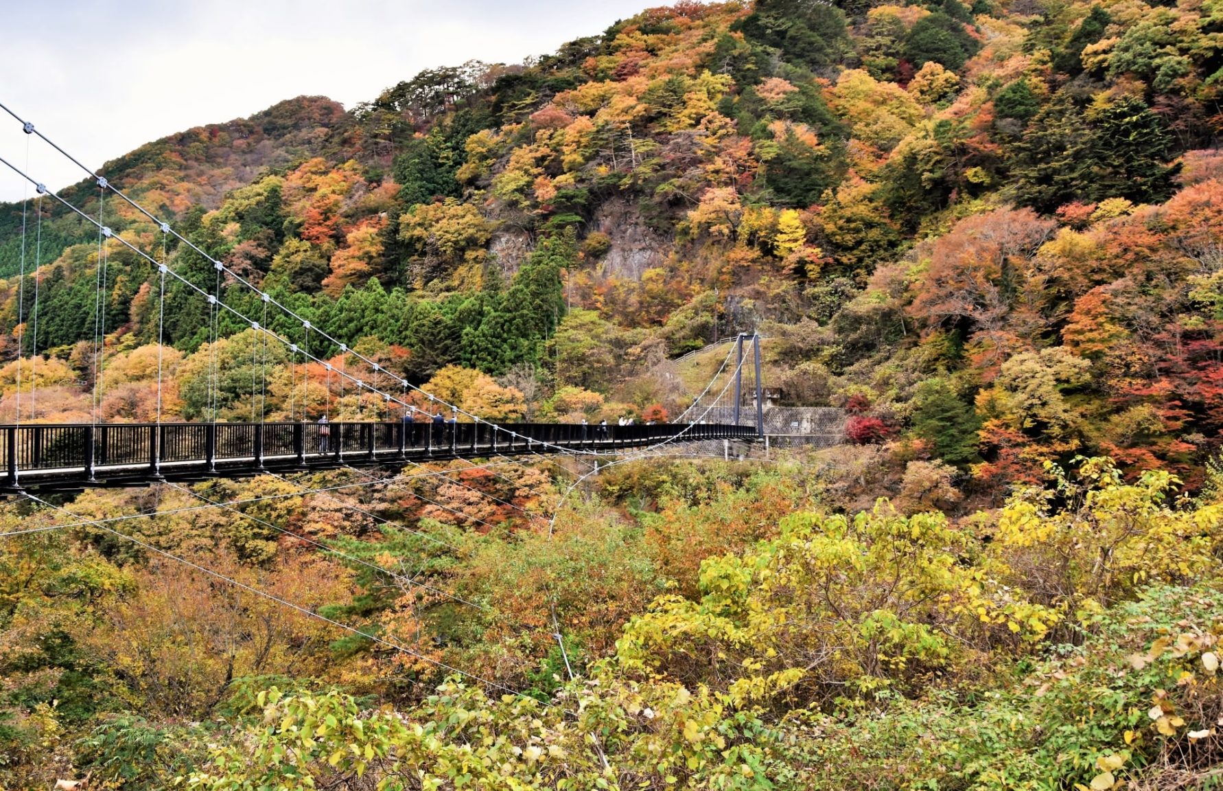 楯岩大吊橋