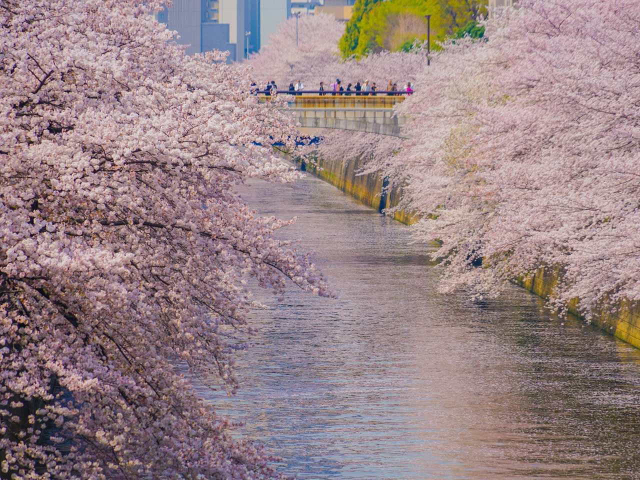 目黑川