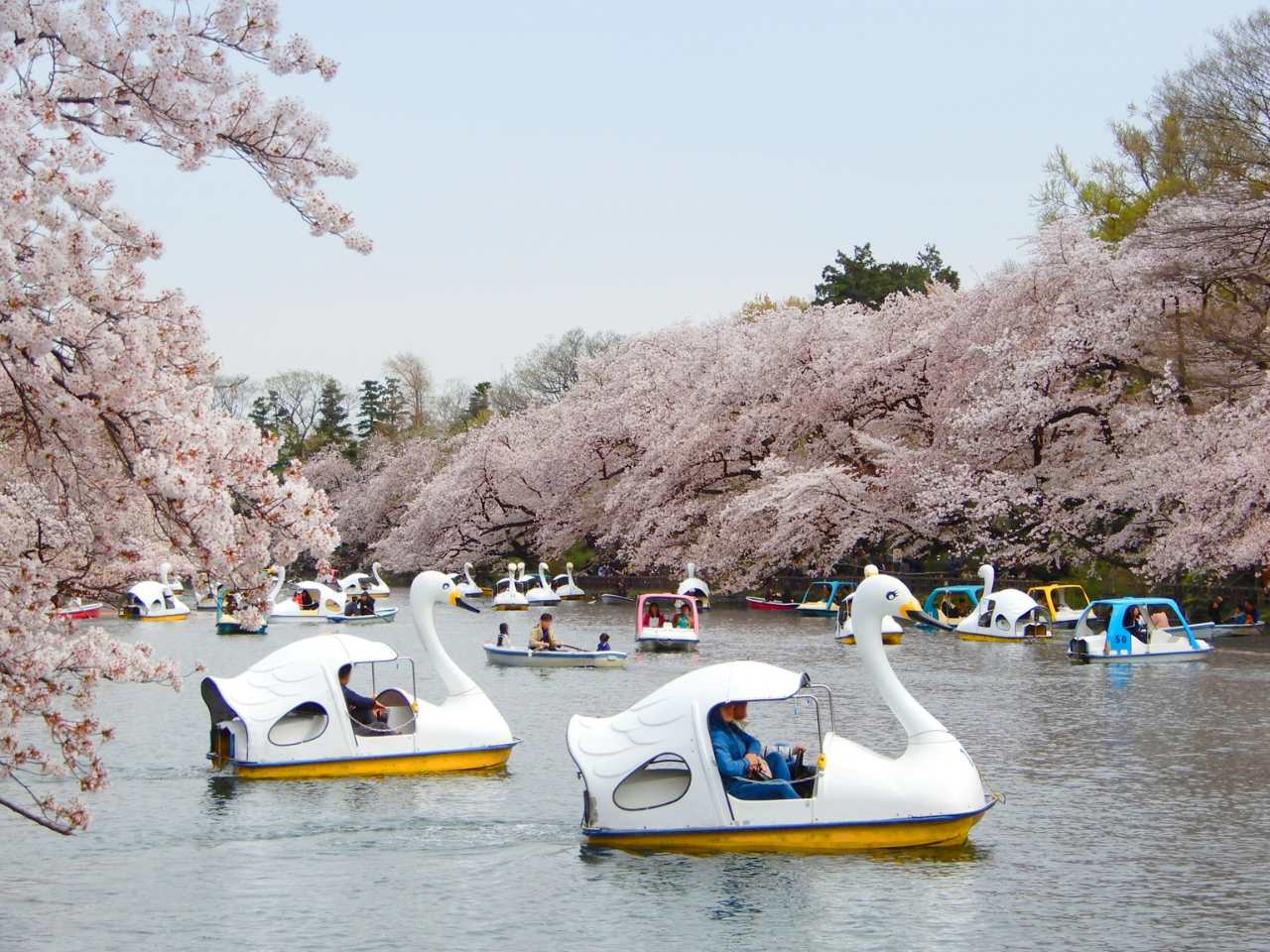 井之頭公園