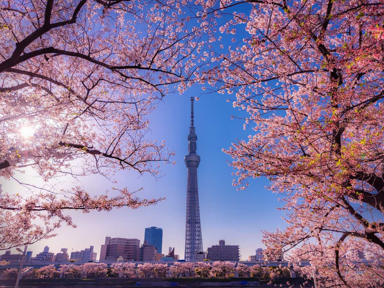 隅田川公園