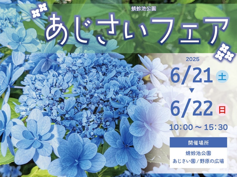 日本繡球花