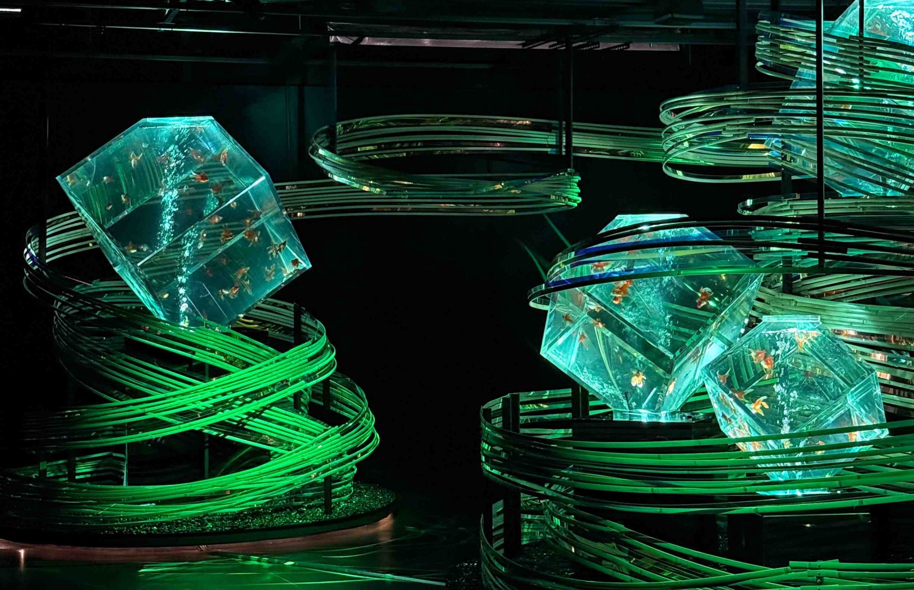 銀座金魚藝術展